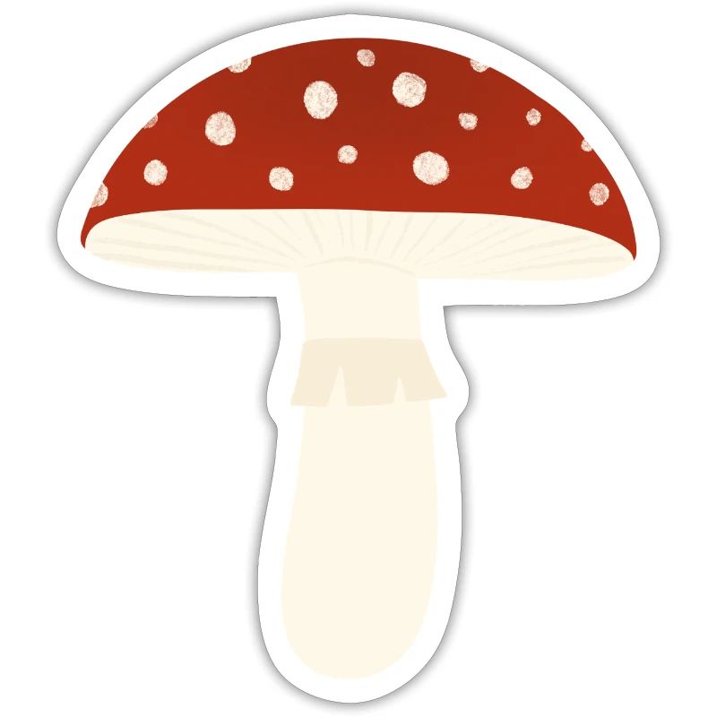 Toadstool Fly Agaric Mushroom