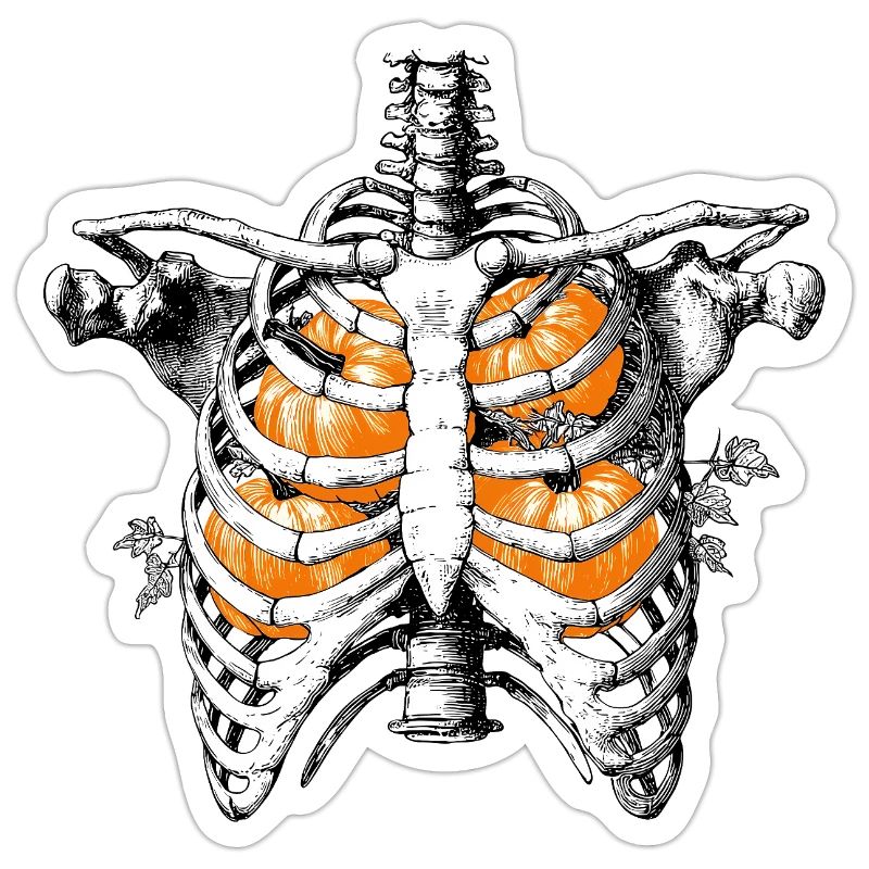 Pumpkin Ribs Skeleton Torso with Pumpkins