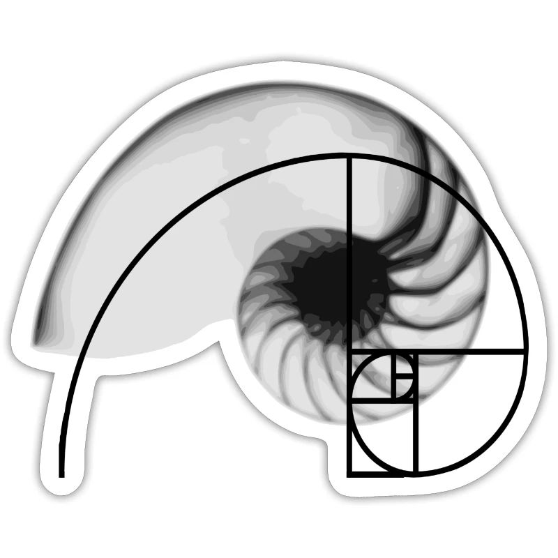 Geometric pattern Fibonacci sequence