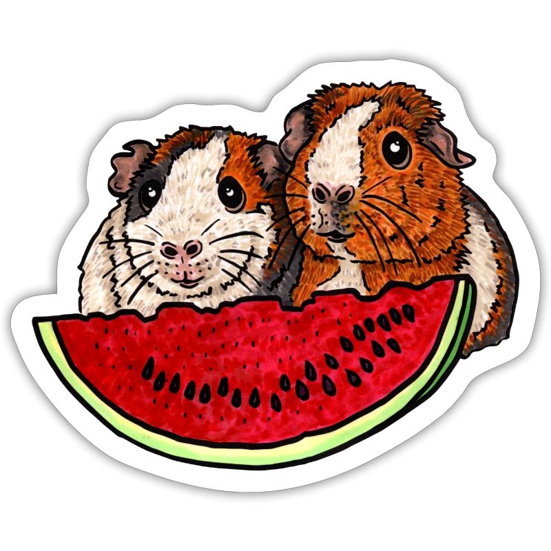Cochons d’Inde avec la pastèque
