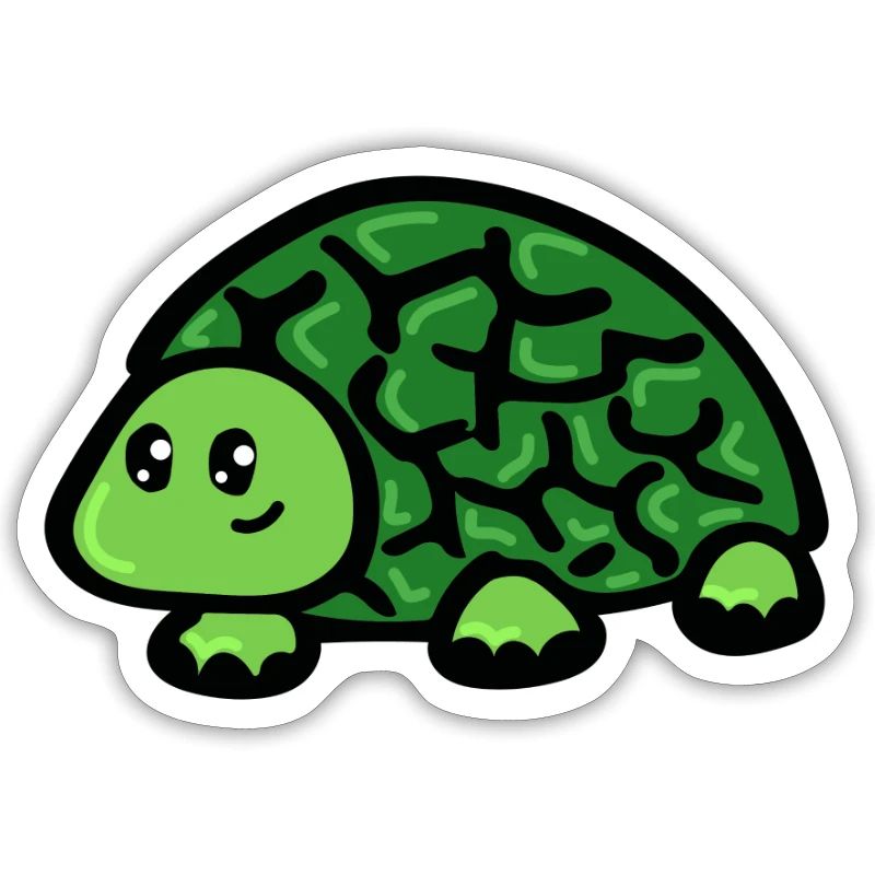 Turtle