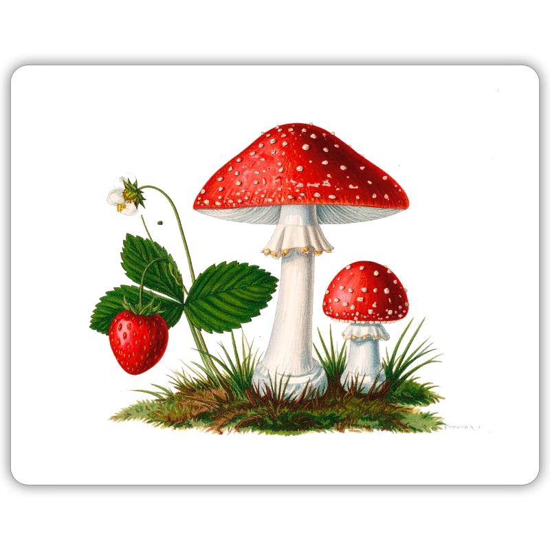 strawberries,vintage,retro,toadstool,forest