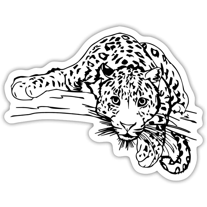 leopardo