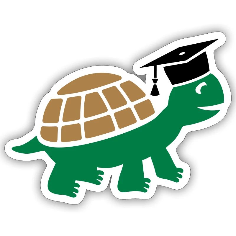 Turtle with doctoral hat Doctoral thesis Study