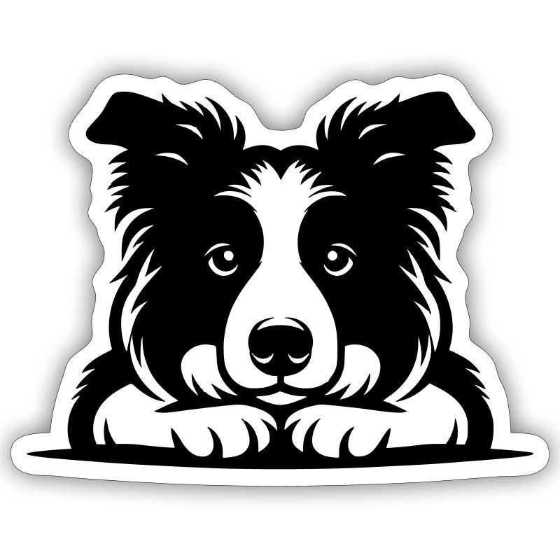 Lying Border Collie Vector Design