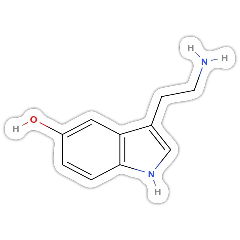 Molécule de sérotonine - Formule structurale colorée