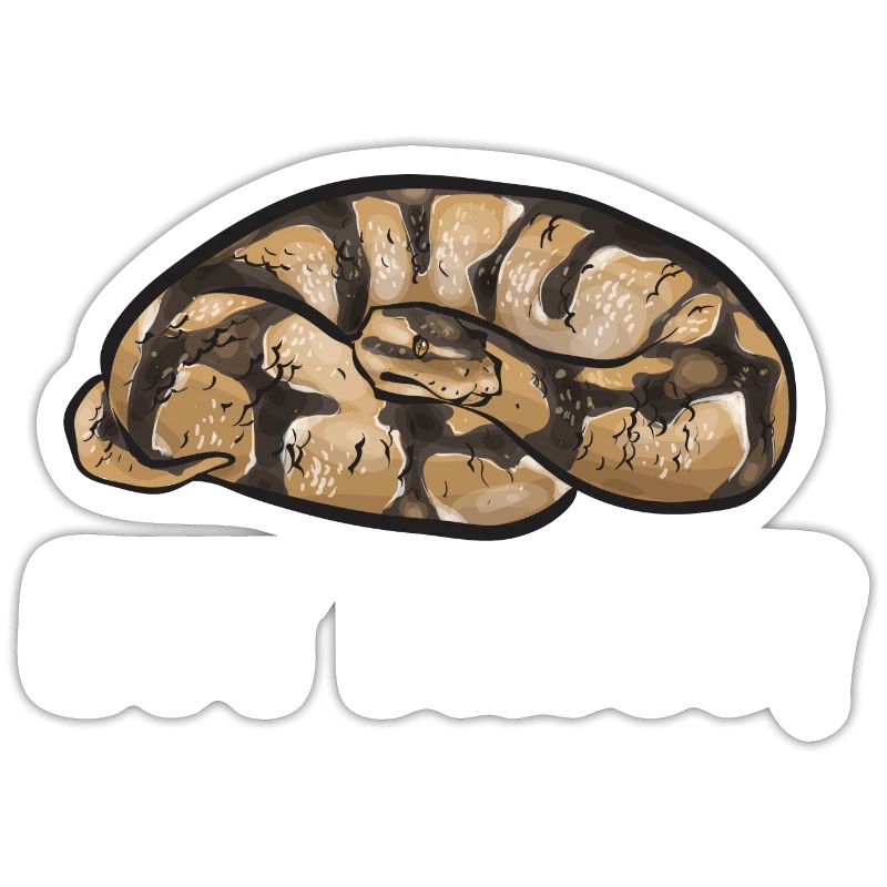 Ball Python Schlange Königspython