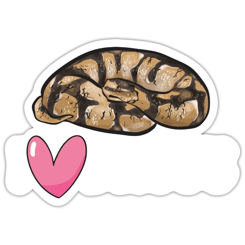 Ball Python Snake King Python