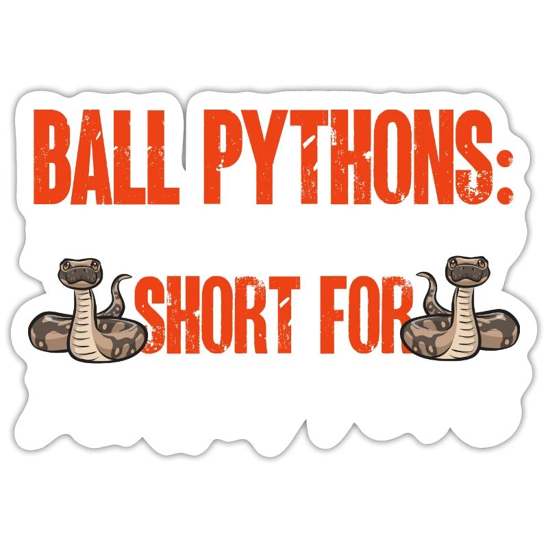 Ball Python Schlange Königspython