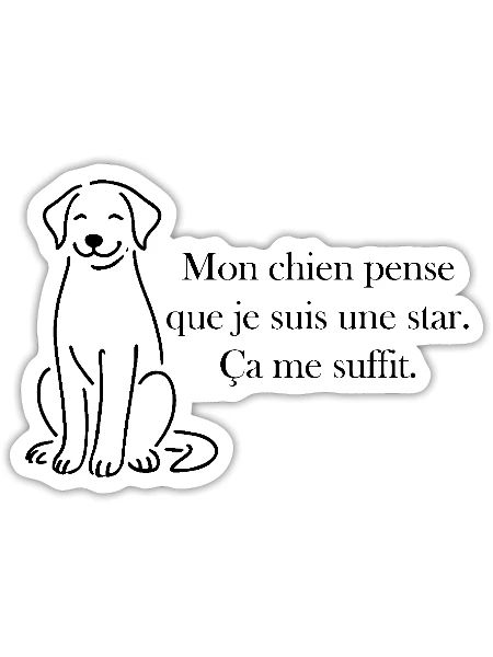 Mon chien pense que je suis une star - Sticker taille S (10 x 10 cm) - blanc mat - Devant