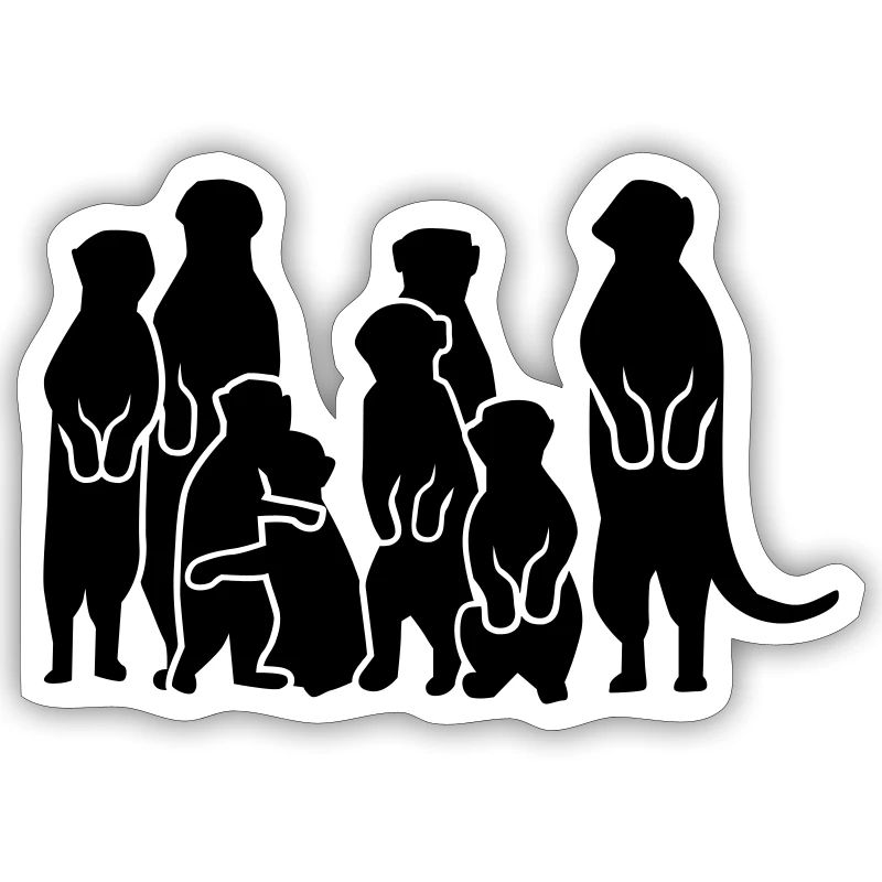 Suricate