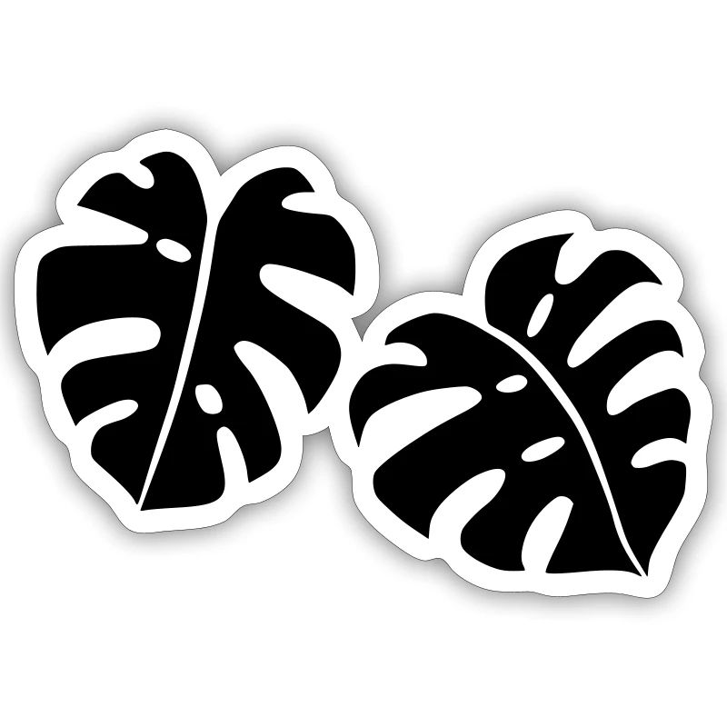 Conception Monstera
