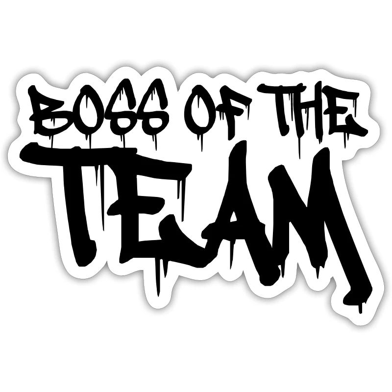 Chef de l’équipe