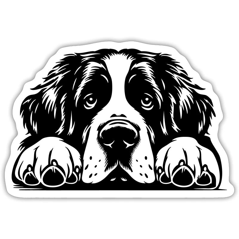 St. Bernard head with paws