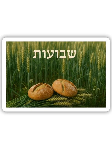 Shavuot - Sticker size S (10 x 10 cm) - white matte - Front