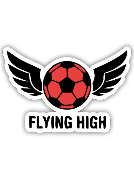 Fussball Fliegende Fluegel Logo - Sticker Größe S (10 x 10 cm) - Mattweiß - Vorne