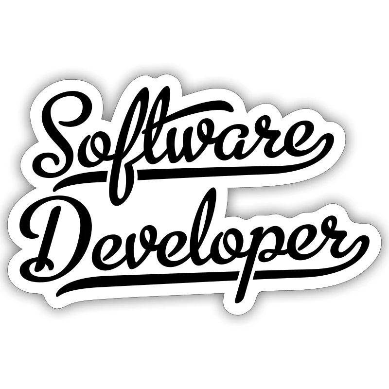 Software Developer