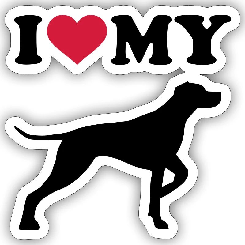 German Shorthaired Pointer