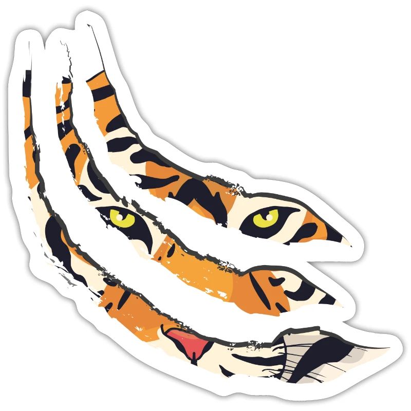 Tiger claw tiger pattern claws gift idea