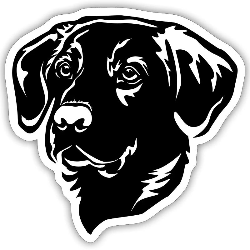 Labrador Head