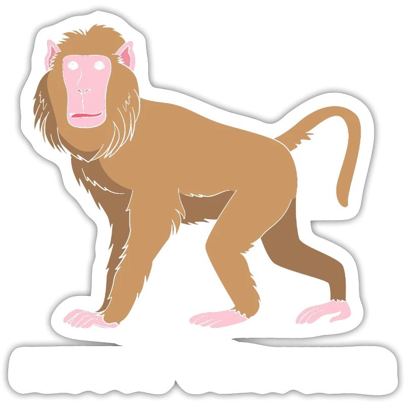 Baboon Baboon Primate Monkey Monkey