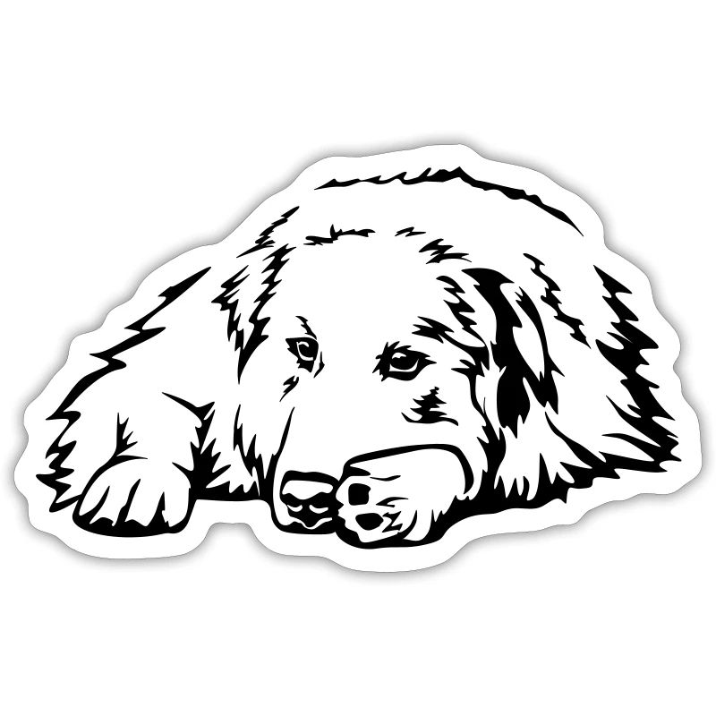 Pyrenees mountain dog