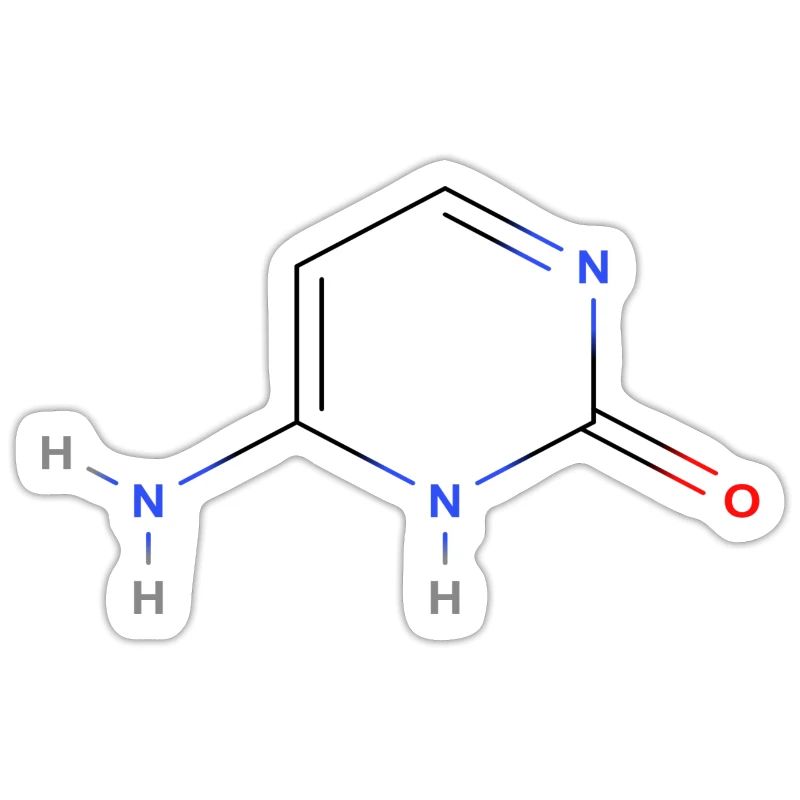 Cytosine Molecule - Colored Structural Formula