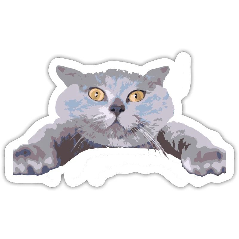 Katze -