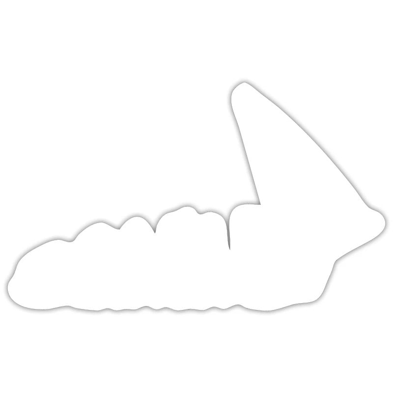 Drôle de voile Evolution Marin idée cadeau