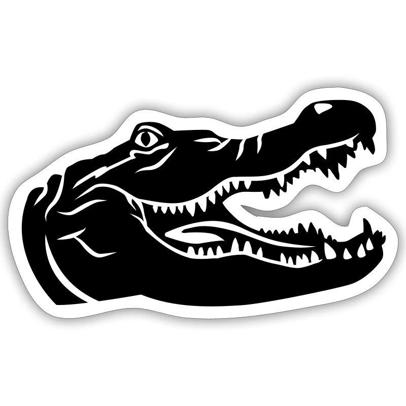 Crocodile