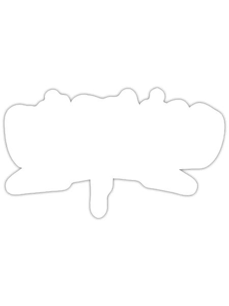 Dortmund Graffiti - Sticker taille S (10 x 10 cm) - blanc mat - Devant