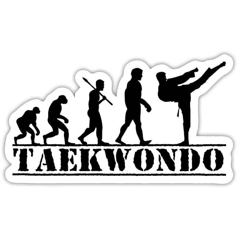 Combattant de Taekwondo - Evolution Man