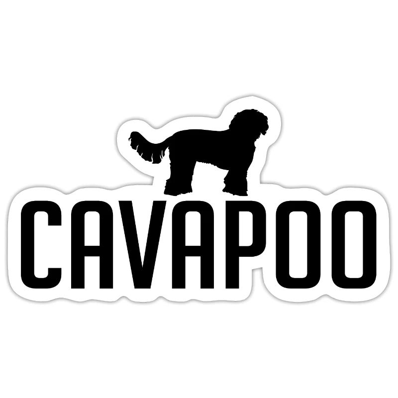Cavapoo Dog races Chiens Wilsigns