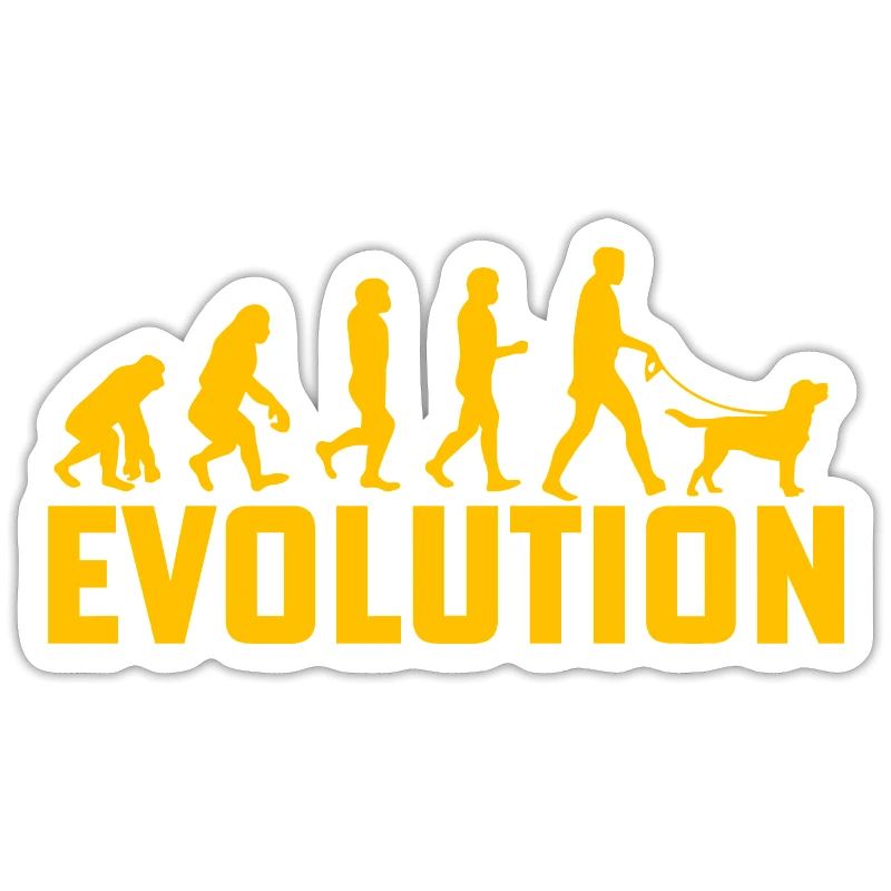 Évolution du Labrador
