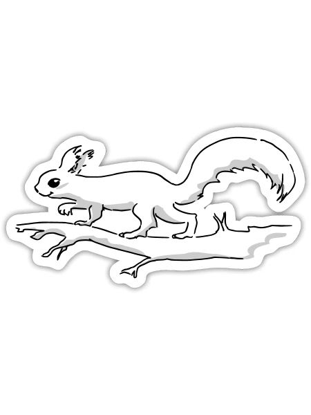 Eichhörnchen Tricolor - Sticker Größe S (10 x 10 cm) - Mattweiß - Vorne