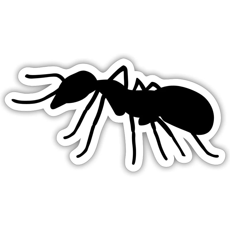 Ant