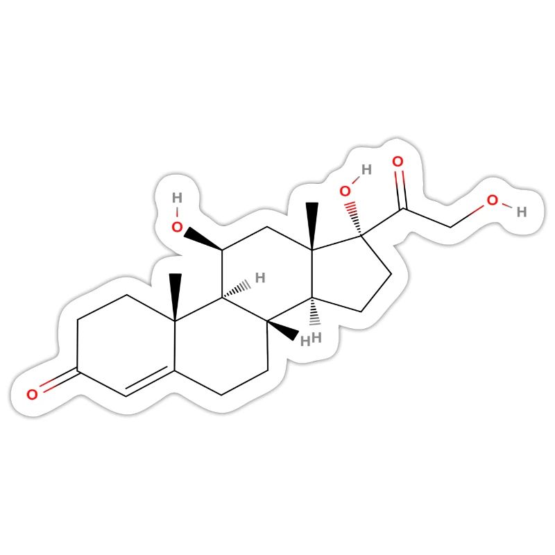 Molécule de cortisol - Formule structurale colorée