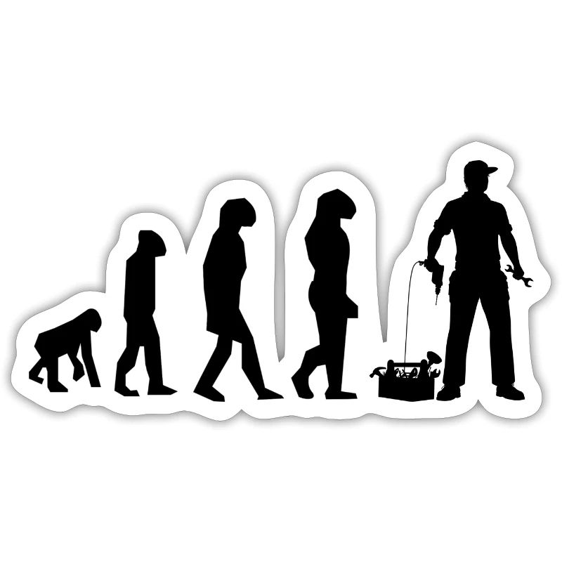 évolution bricoleur