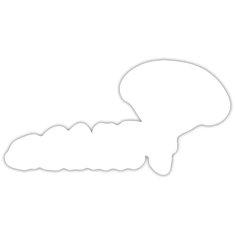 Evolution Paragliding