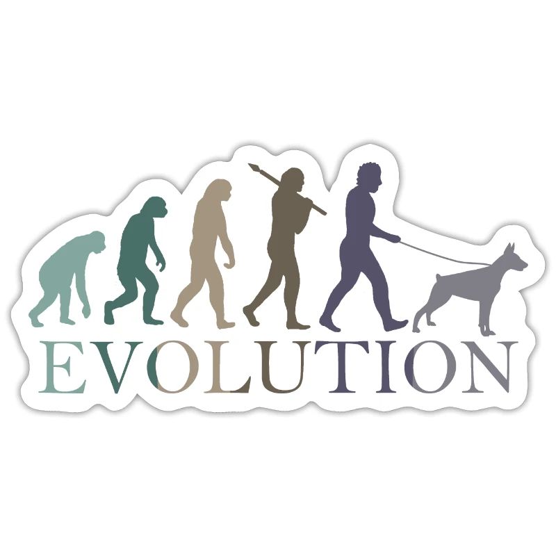 L’évolution du DOBERMAN
