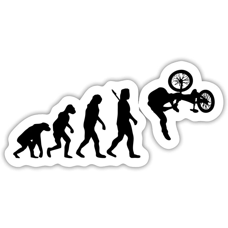 Evolution BMX