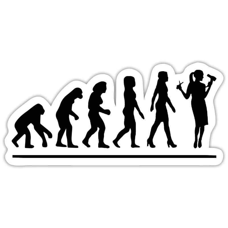 Évolution coiffeuse / cadeau humour coiffeuse
