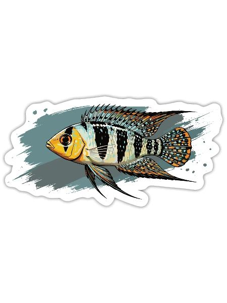 Buntbarsch Aquarium Aquaristik - Sticker Größe S (10 x 10 cm) - Mattweiß - Vorne