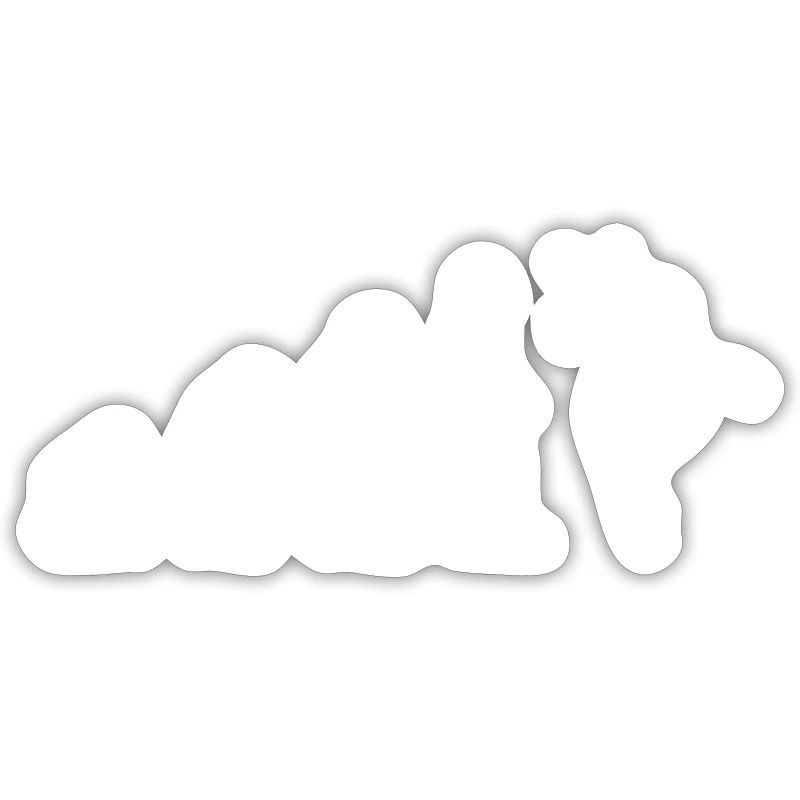 Evolution Ballet Danseuse