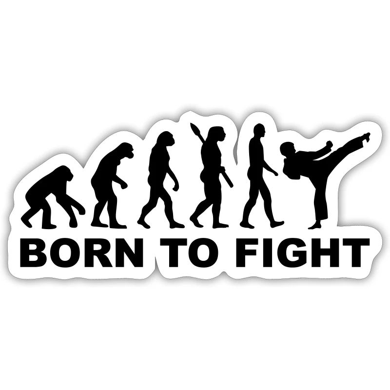 Evolution Karate