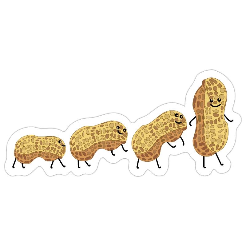Peanut Evolution