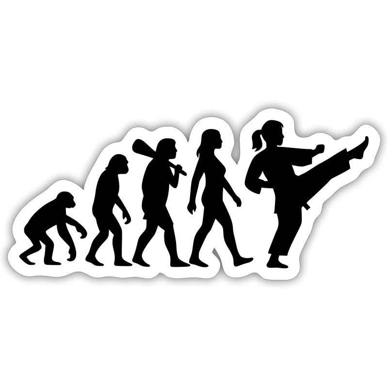 Karate Evolution