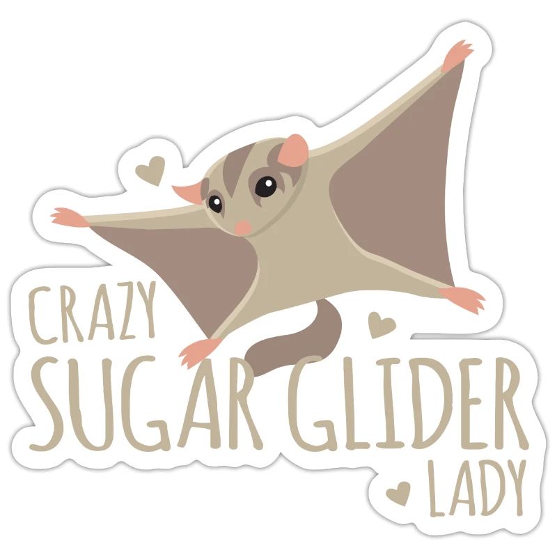 Crazy sugar glider lady!