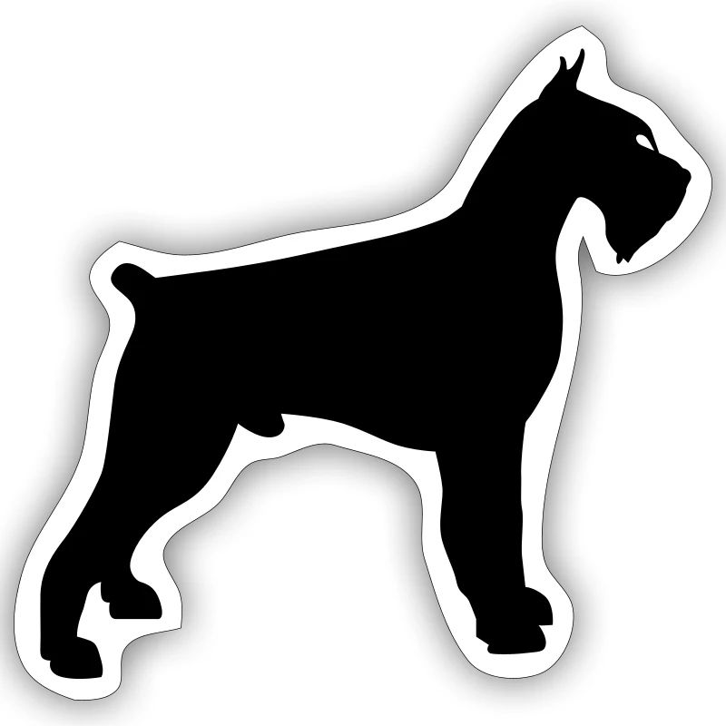 schnauzer géant
