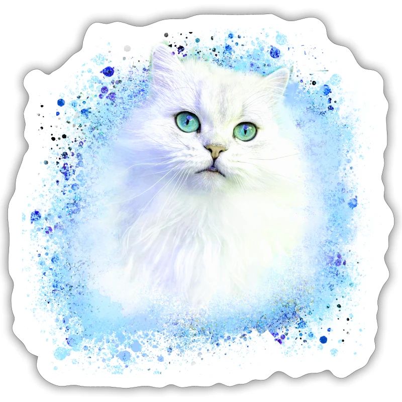 chat persan, chat siam, chat, chat blanc, graffiti